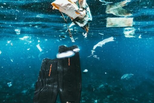 Estudo mostra como o peso dos microplásticos determina sua dispersão no mar